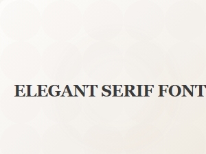 Elegant Serif Fonts for Formal Documents