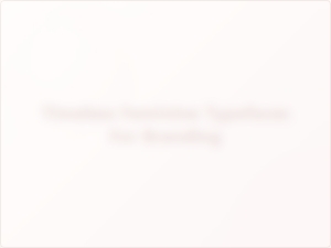 Timeless Feminine Serifs for Branding