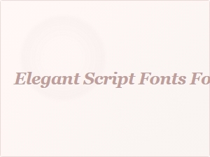 Elegant Script Fonts for Wedding Invitations